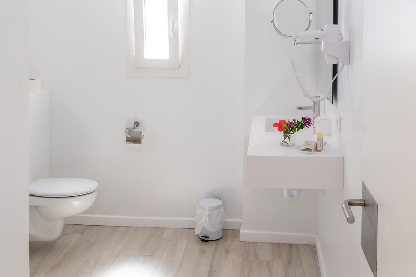 Side view of WC and washbasin, with magnifying mirror