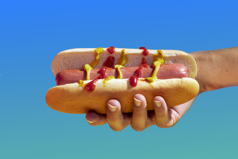 Hand holding a hot dog